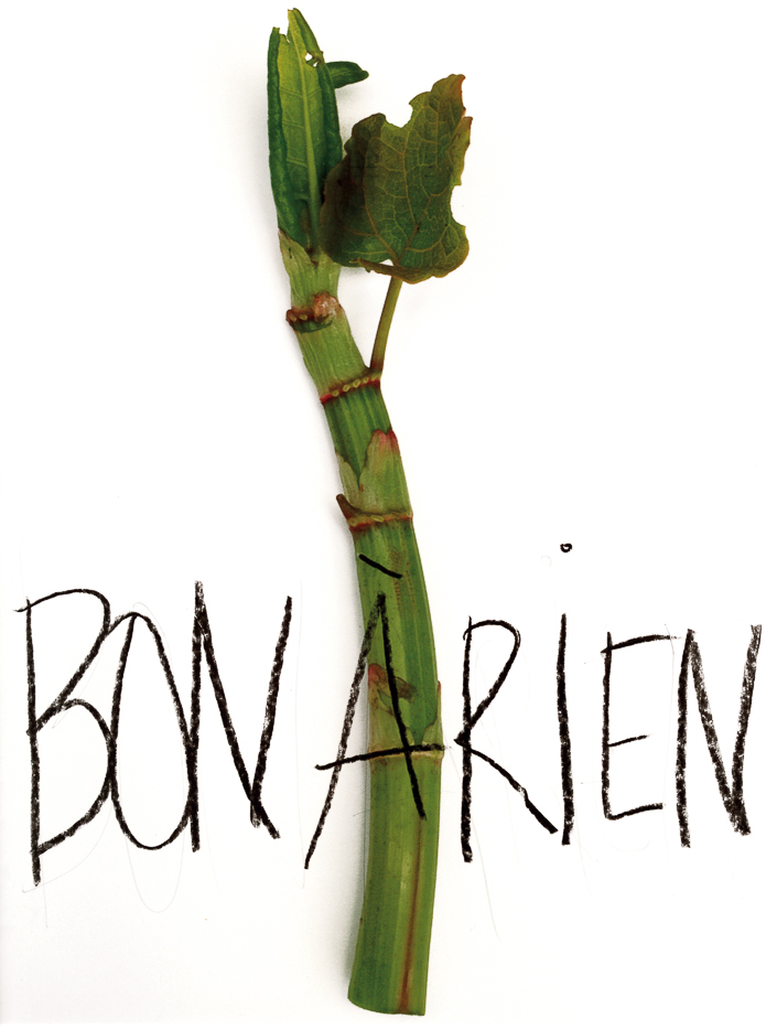 Bon à rien