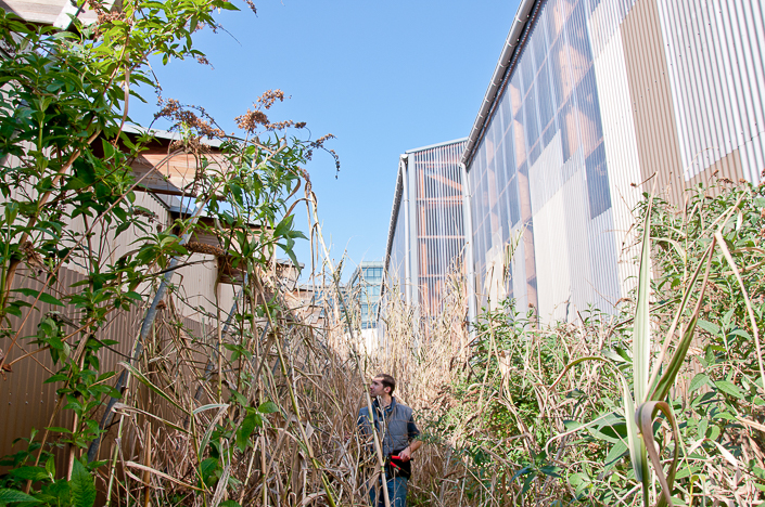 Chantier Mars 14_1