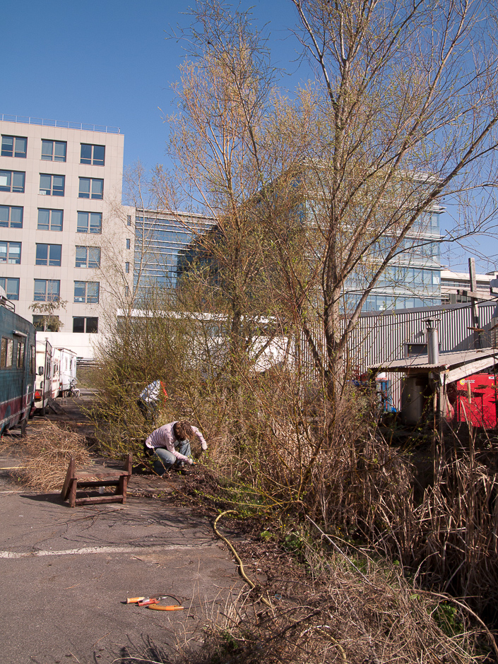 Chantier Mars 6_1